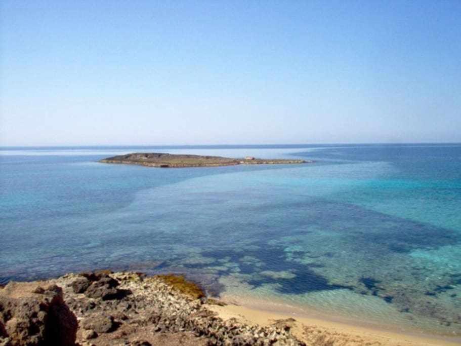 Appartamento Trilocale Girasole 1p e pp a pochi passi dal mare del Salento Torre San Giovanni Ugento Esterno foto